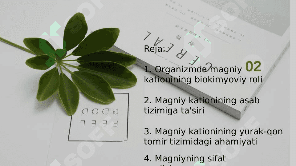 Mg kationini organizmdagi ahamiyati, tibbiyotda qo llanishi va dori vositalari tarkibida sifat hamda miqdorini aniqlash 2