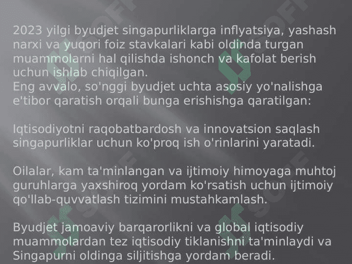 SINGAPUR davlat byudjeti 4