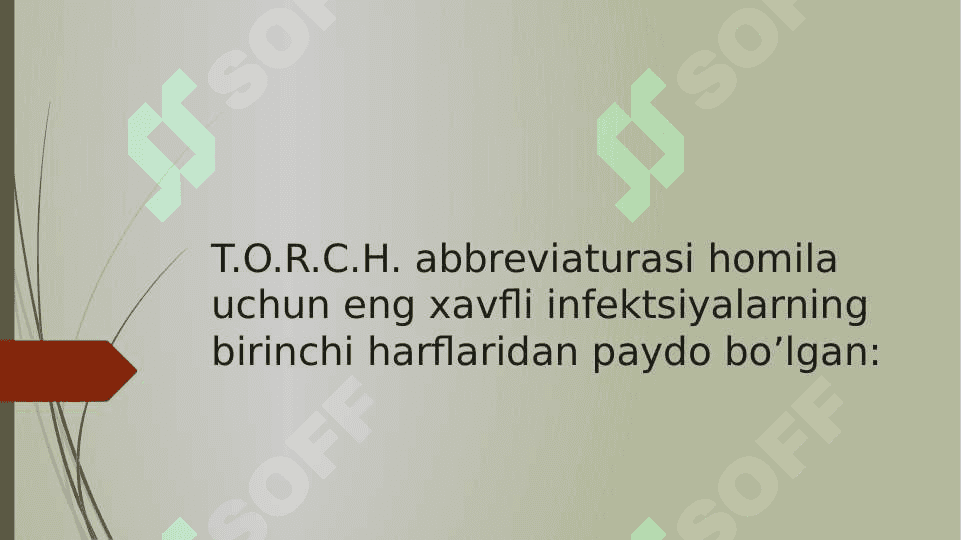TORCH infeksiyasi diagnostikasi va patogenezi 2