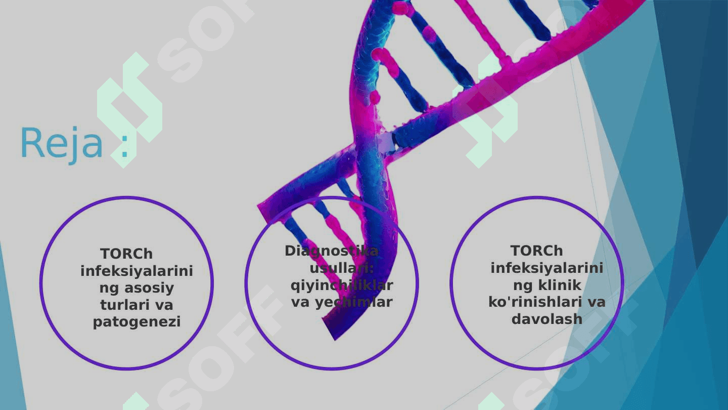 TORCH INFEKSIYALARI , PATOGENEZI , DIAGNOSTIKASI 2