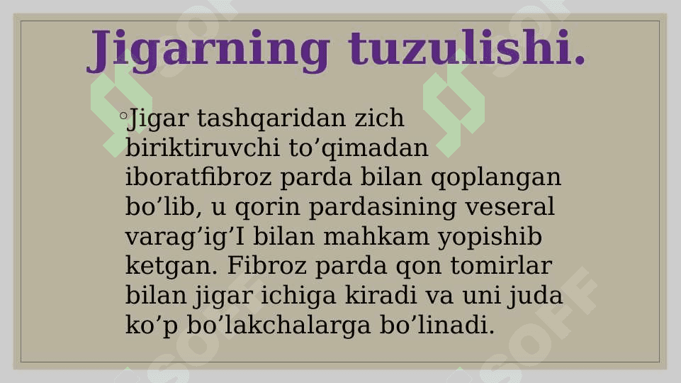 Jigar gistalogiyasi 2