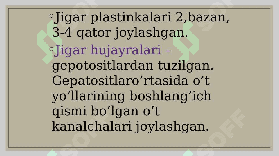 Jigar gistalogiyasi 4