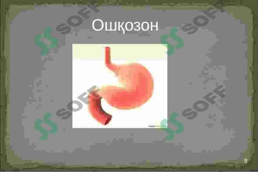 Hazim qilish tizimi 8
