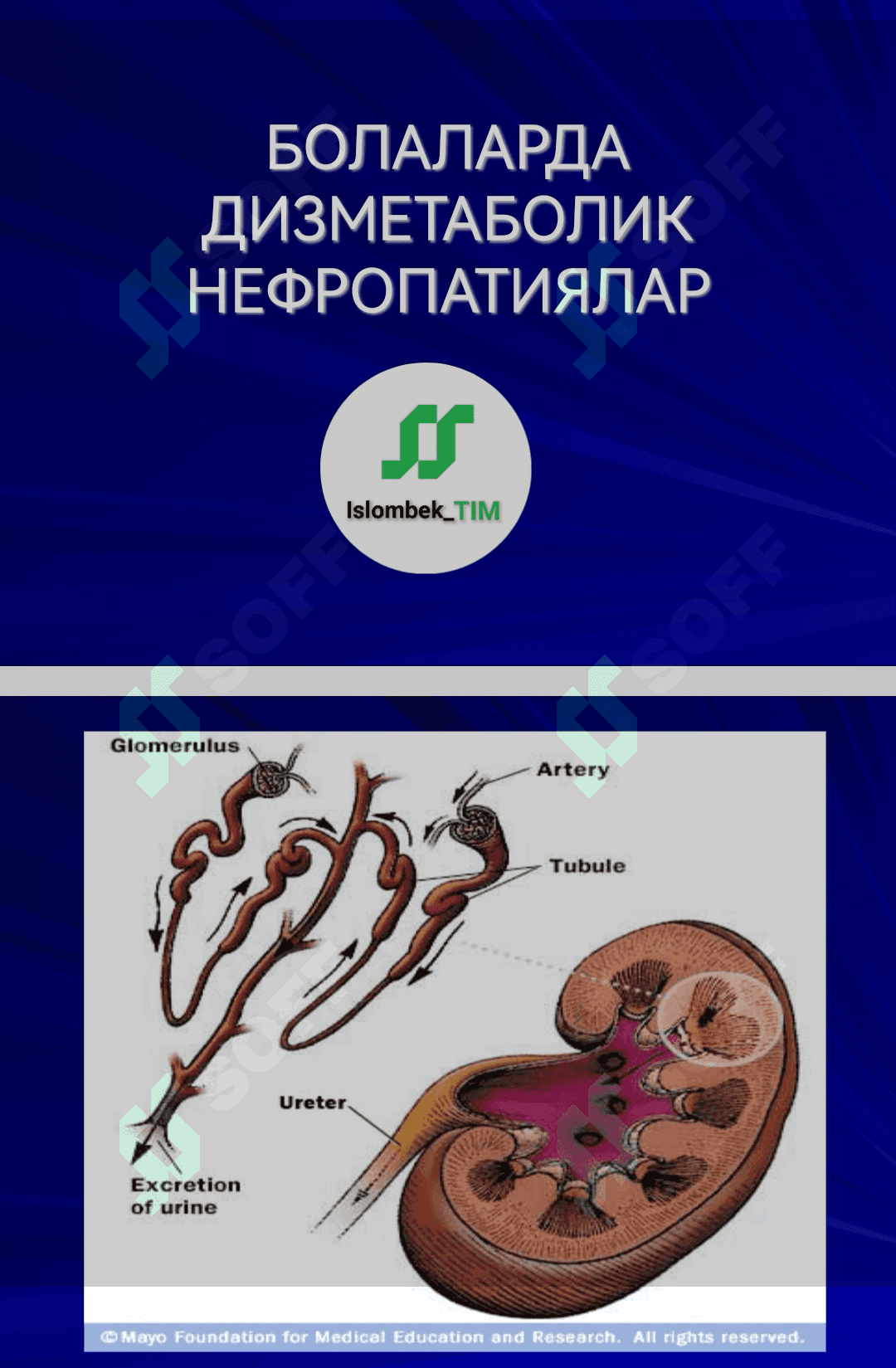 БОЛАЛАРДА ДИЗМЕТАБОЛИК НЕФРОПАТИЯЛАР 1