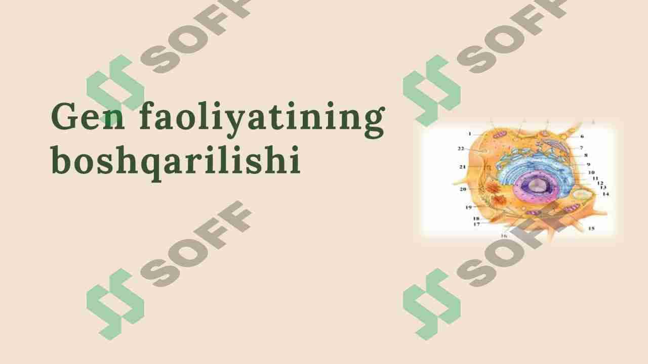 Gen faoliyatining  boshqarilishi 3