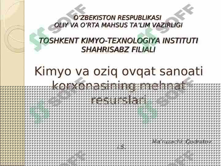 Kimyo va oziq ovqat sanoati korxonasining mehnat resurslari