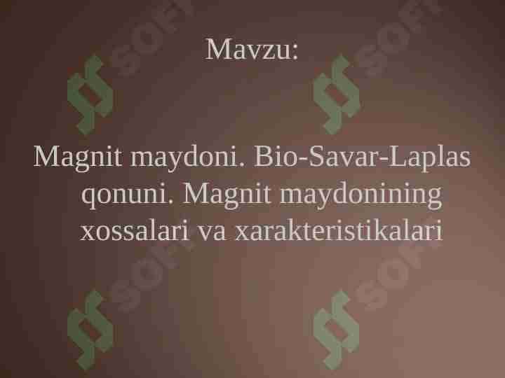 magnit maydon