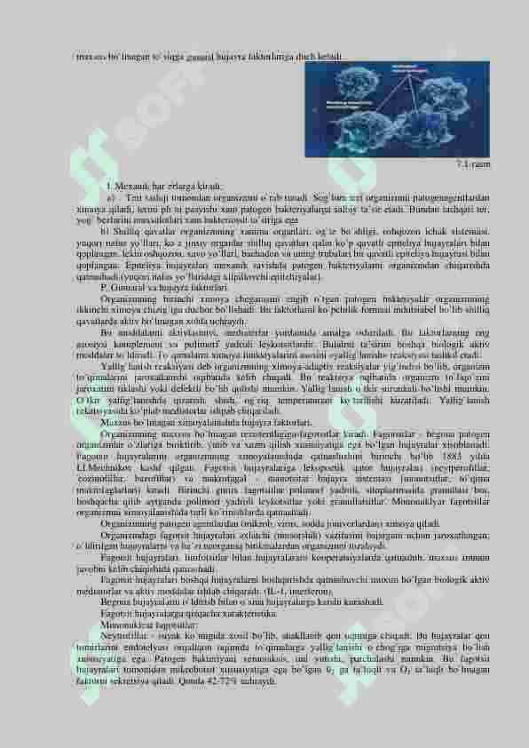 Immunitet turlari. Organizmning infeksiyaga qarshi ximoya mexanizmi 2