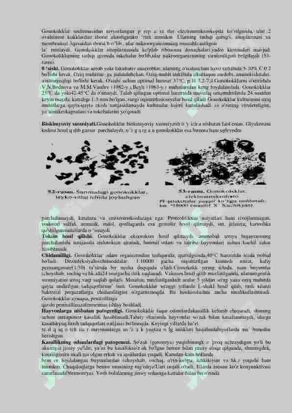 Patogen gramm manfiy: meningokok va gonogoklar. va gram musbat koklar:stafilikoklar va streptokoklar 2