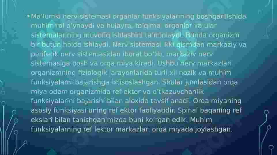 Orqa miyaning reflektor va o'tkazuvchi yo'l faoliyati, tekshirish usullari. 3