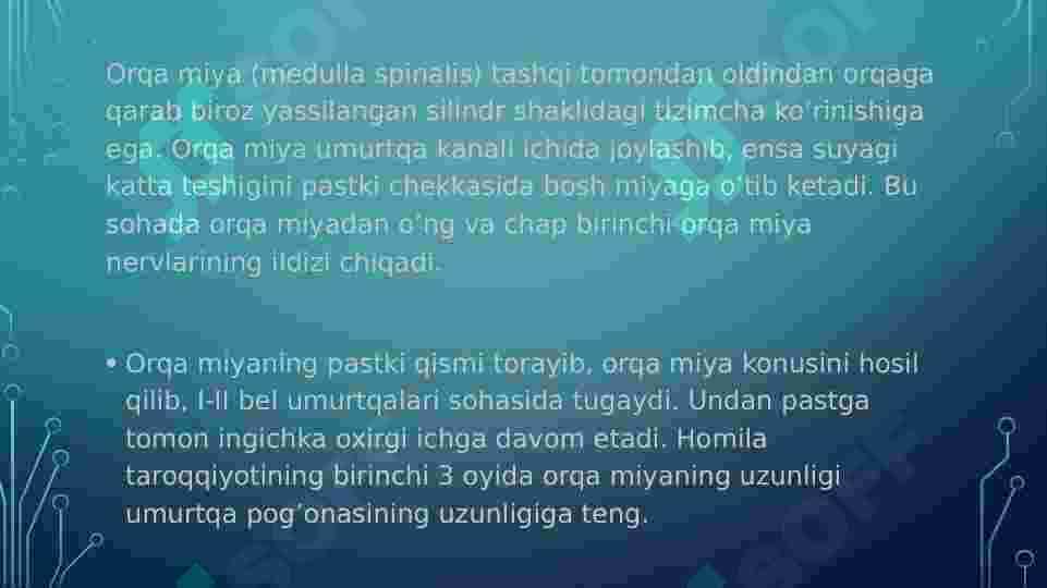 Orqa miyaning reflektor va o'tkazuvchi yo'l faoliyati, tekshirish usullari. 4