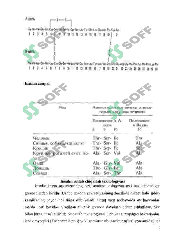 Insulin ishlab chiqarish biotexnologiyasi. 2