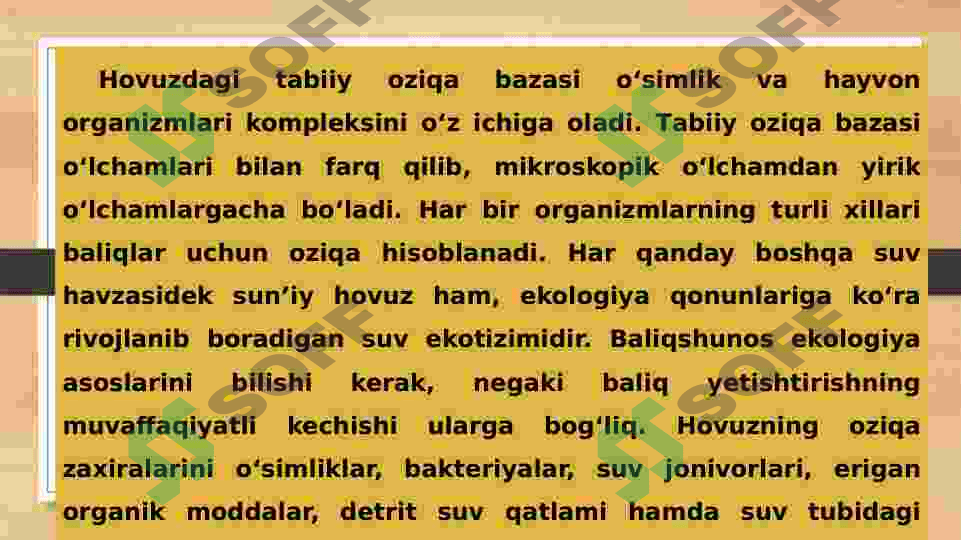 Baliqlarning tabiiy oziqalari 2