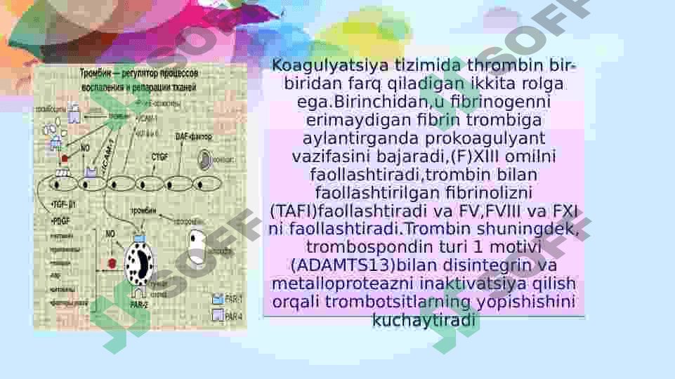 trombin fermenti 3