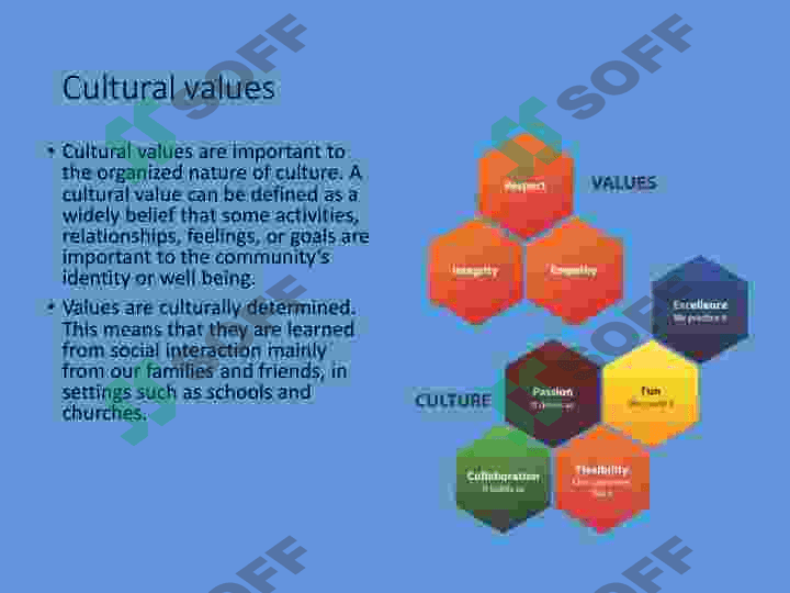Culture 7