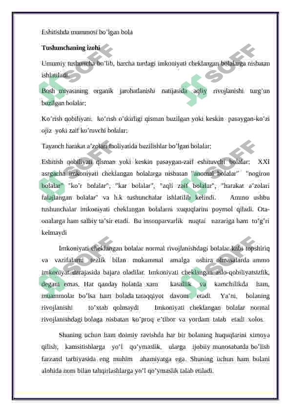 Alohida ta’lim  ehtiyojlari bolani samarali inklyuziyasi uchun ichki sharoitlar 4