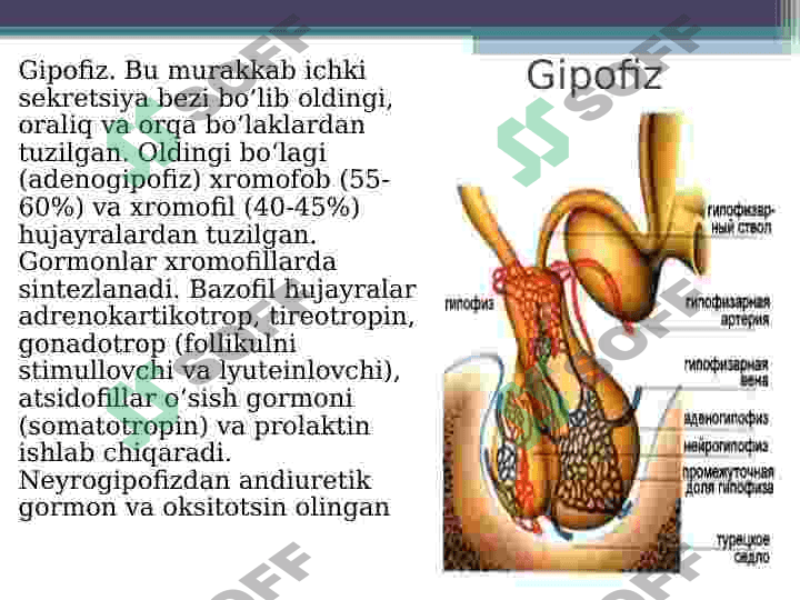 gormonoidlar.  Prostaglandinlar 4