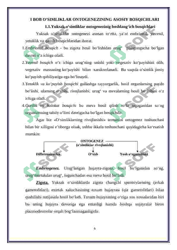 O'simliklarning ontogenezi 5