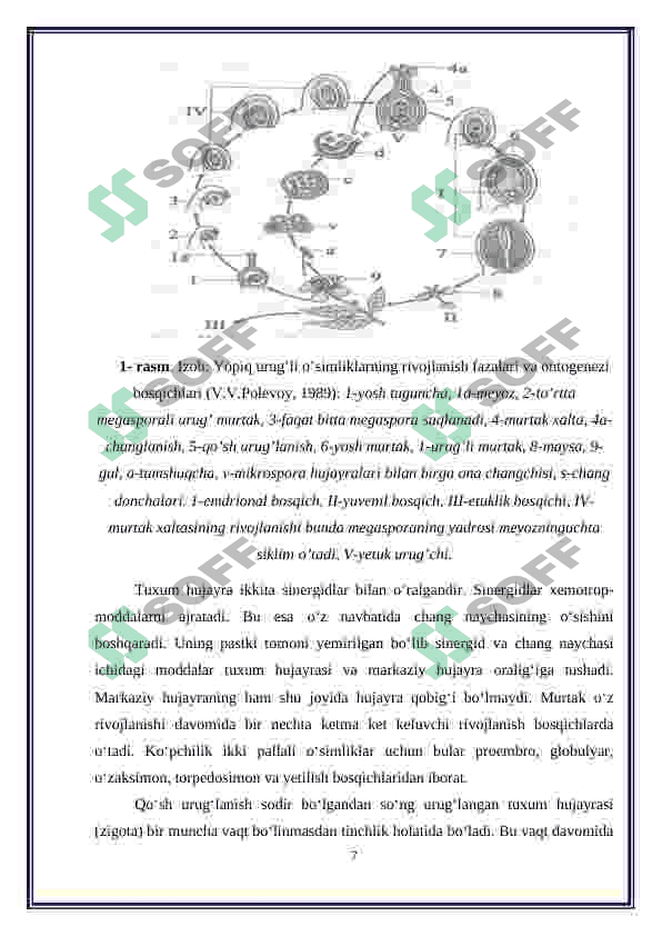 O'simliklarning ontogenezi 6