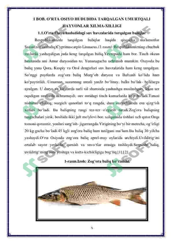 O’rta Osiyo umurtqalilar faunasining biologik xilma-xilligi va zoogeografiyasi 5