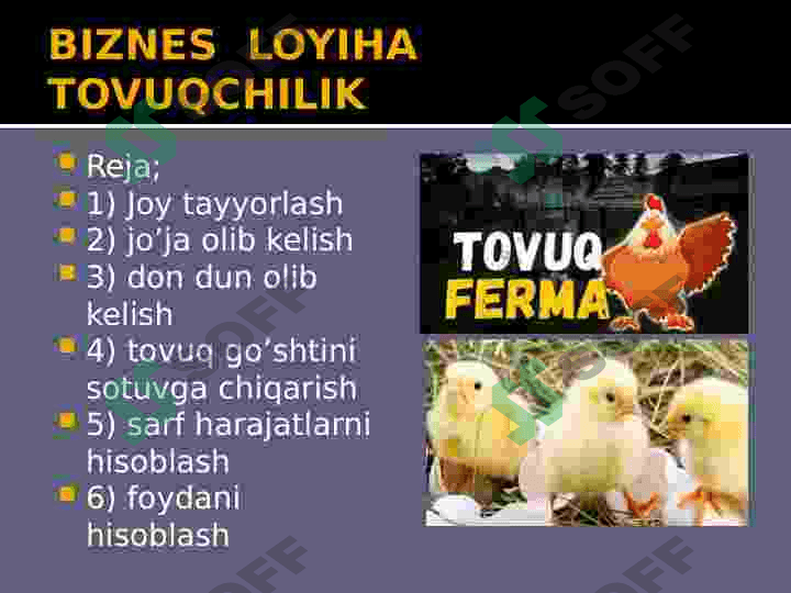 tovuqchilik 2