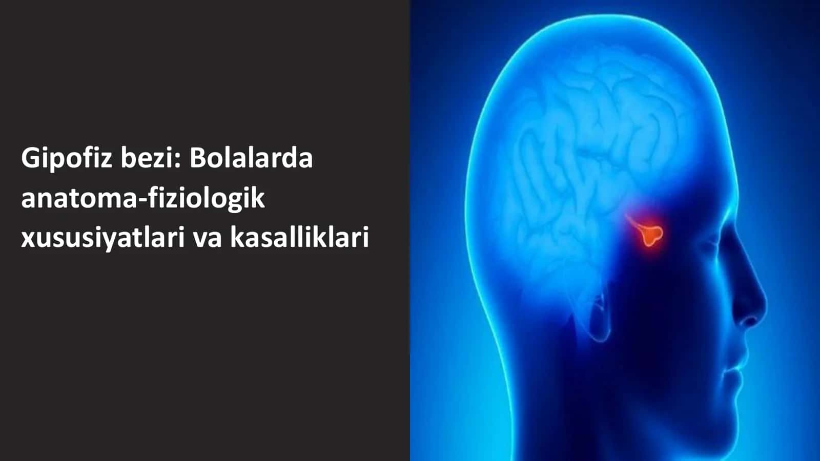 Gipofiz bezi: Bolalarda anatoma-fiziologik xususiyatlari va kasalliklari 1