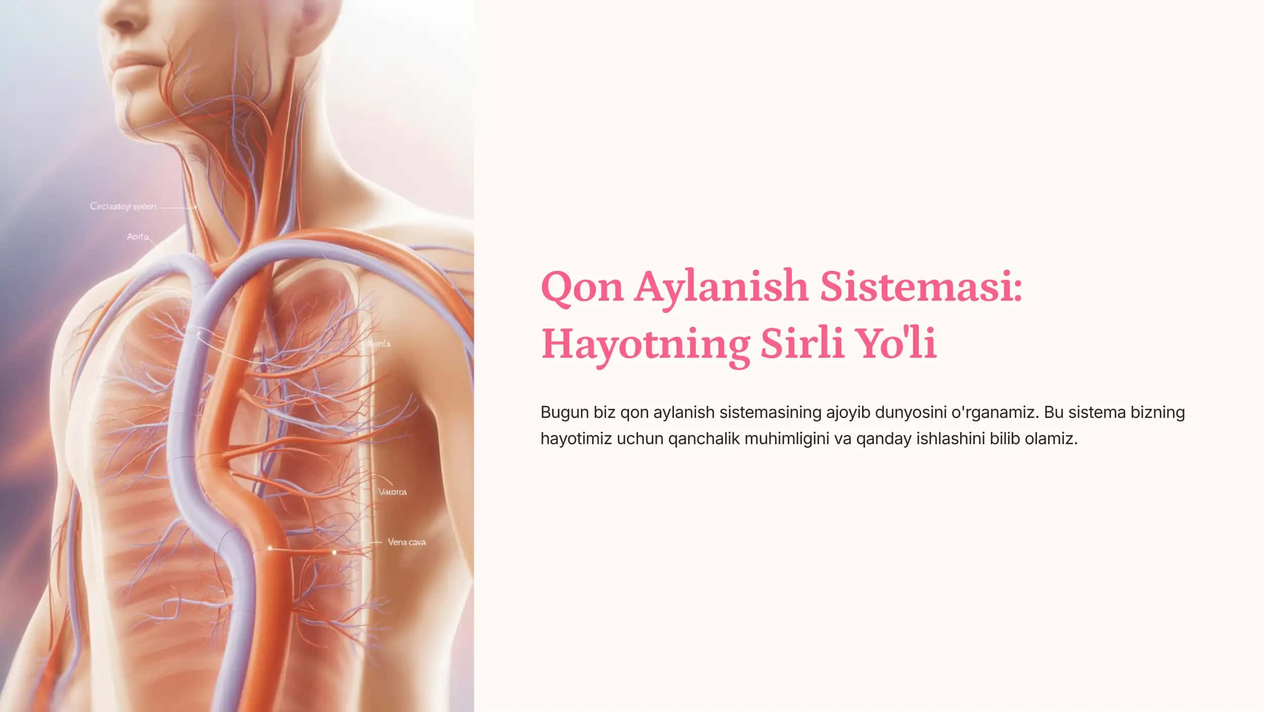 Qon Aylanish Sistemasi 1