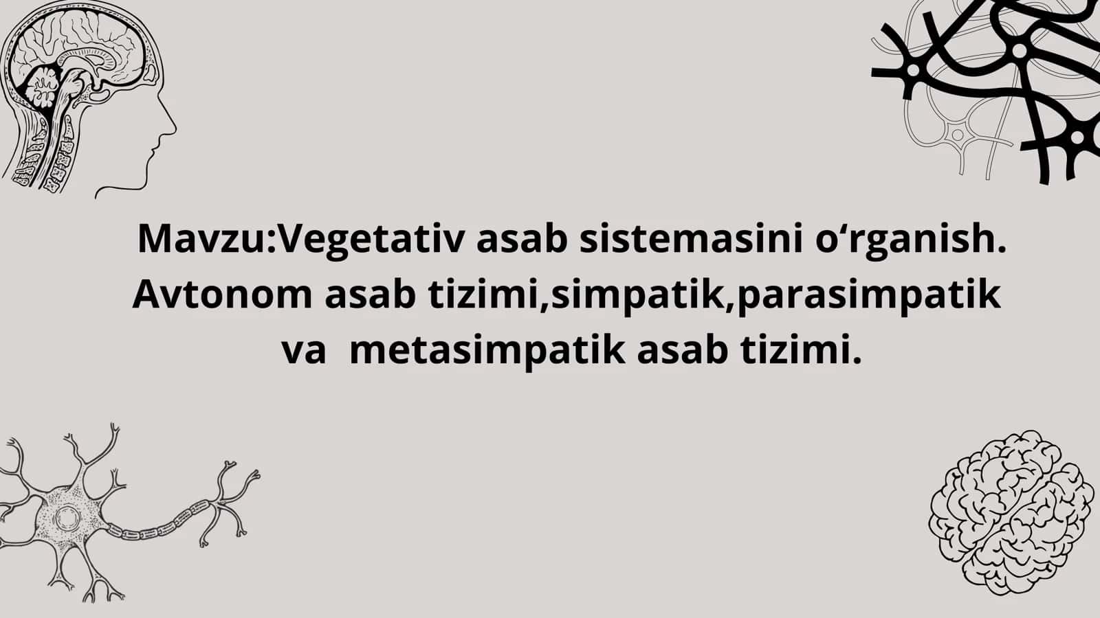 Vegetativ asab sistemasini oʻrganish 1