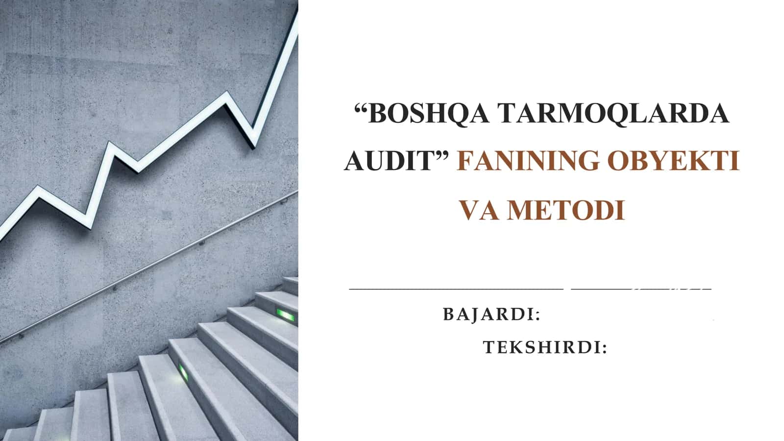 BOSHQA TARMOQLARDA AUDIT FANINING OBYEKTI VA METODI 1