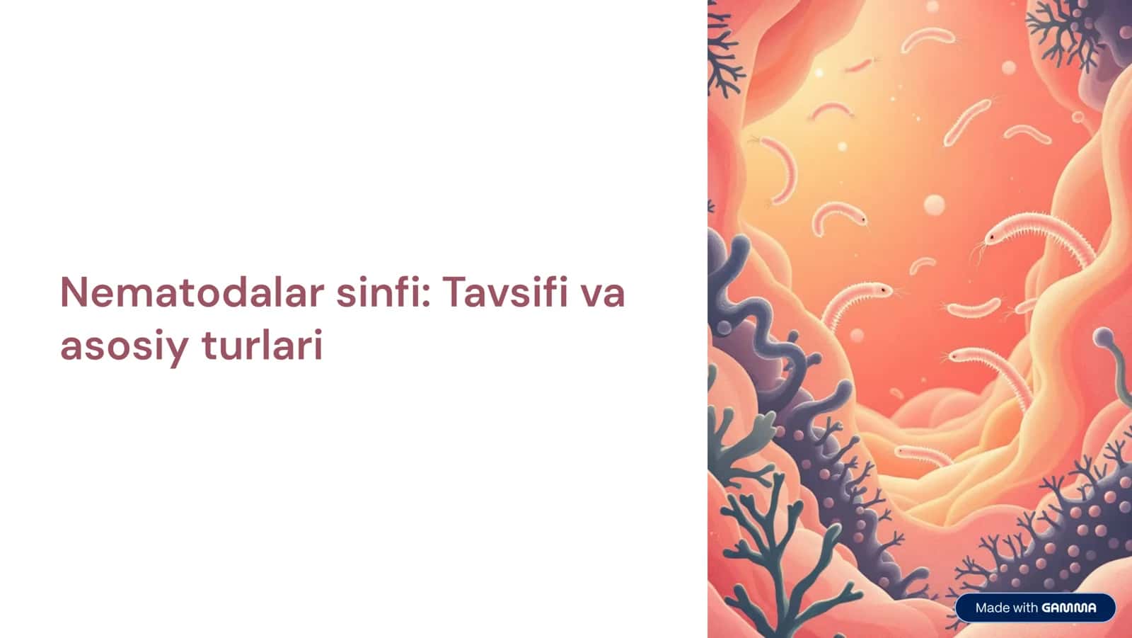 Nematodalar sinfi: Tavsifi va asosiy turlari 1