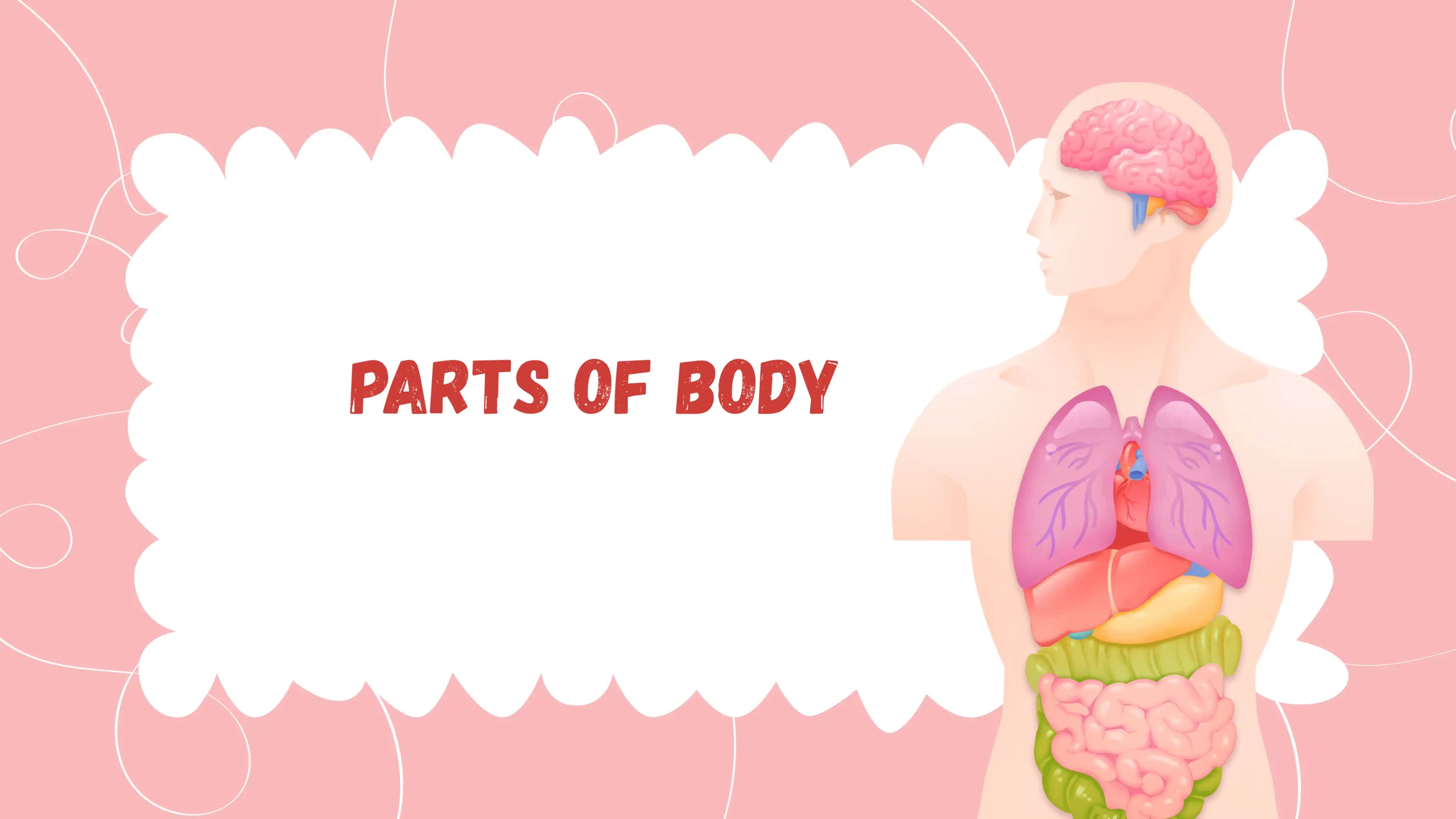Parts of Body 1