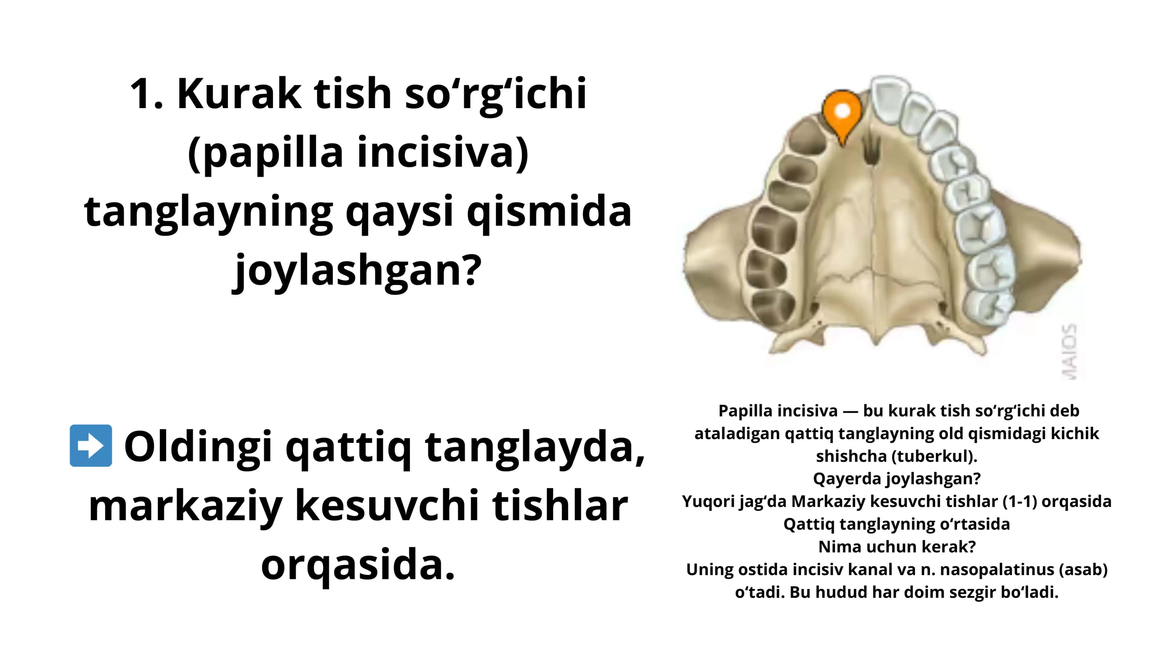 Makrofillarga taalluqli kompozitlar 1