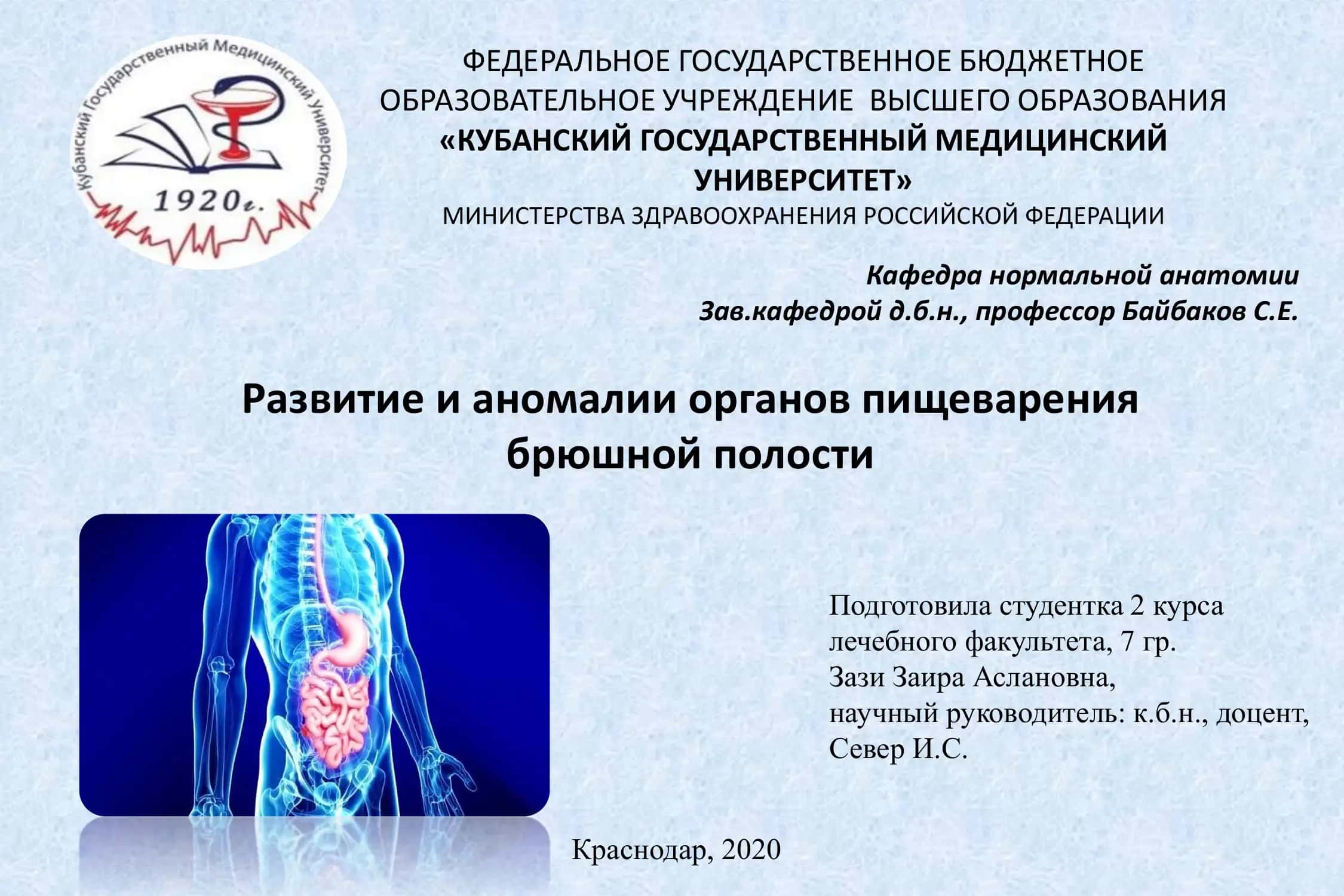 Развитие и аномалии органов пищеварения брюшной полости 1