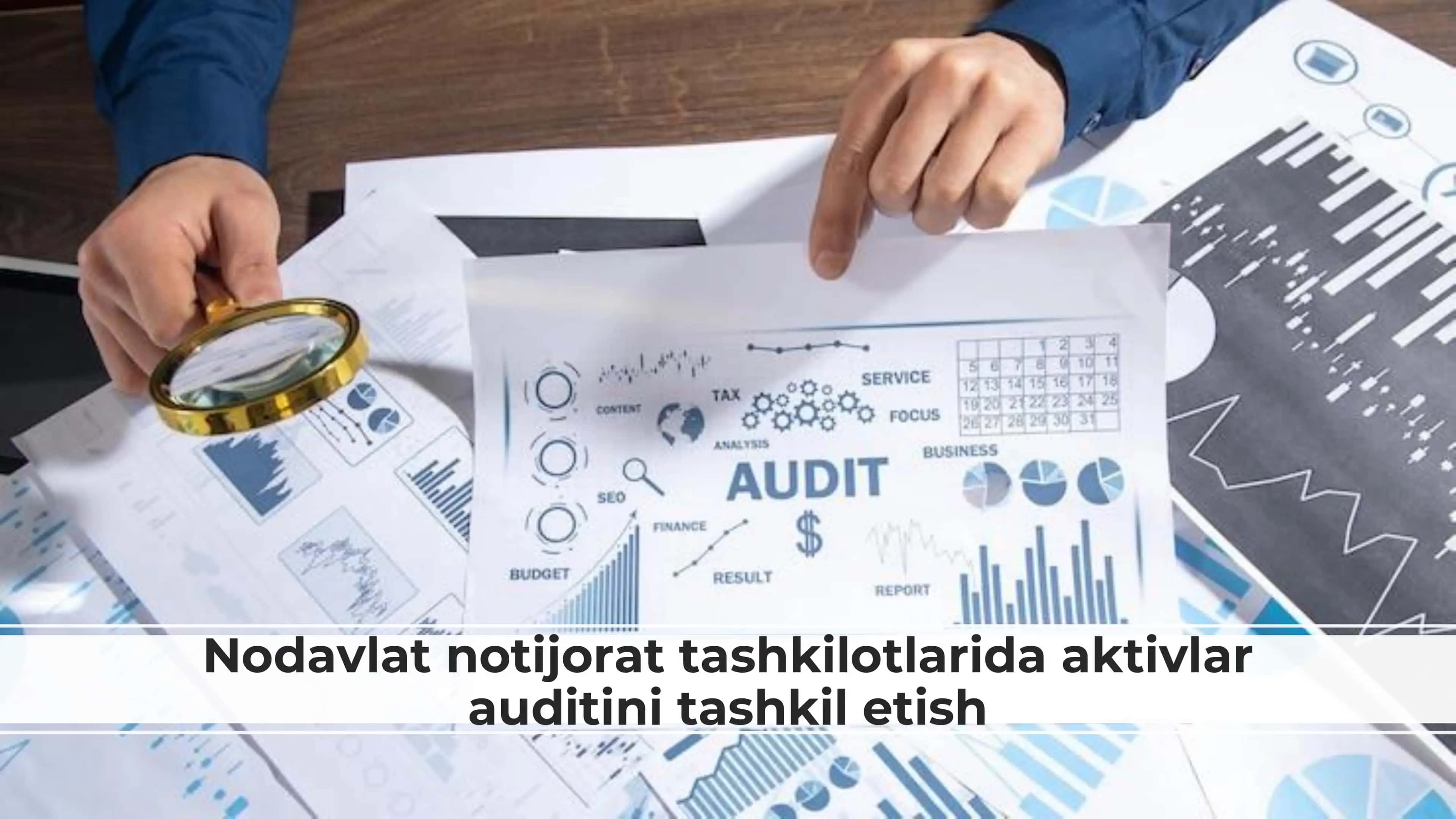 Nodavlat notijorat tashkilotlarida aktivlar auditini tashkil etish 1