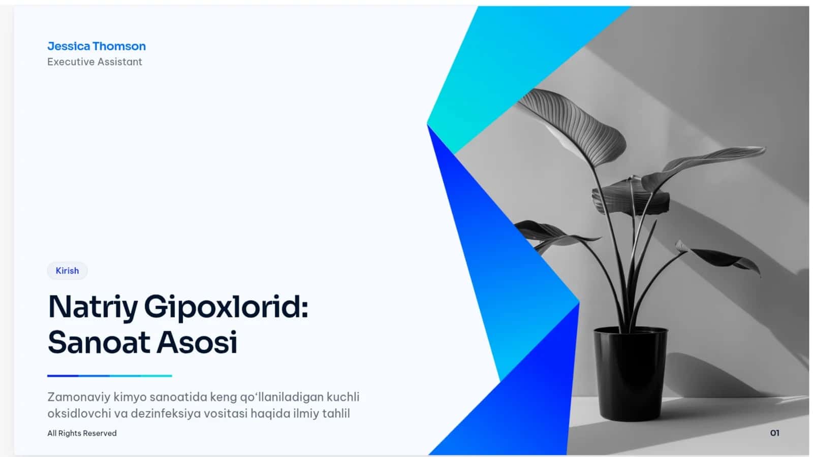 Natriy gipoxloridning fizik-kimyoviy xossalari va ishlab chiqarilishi 1