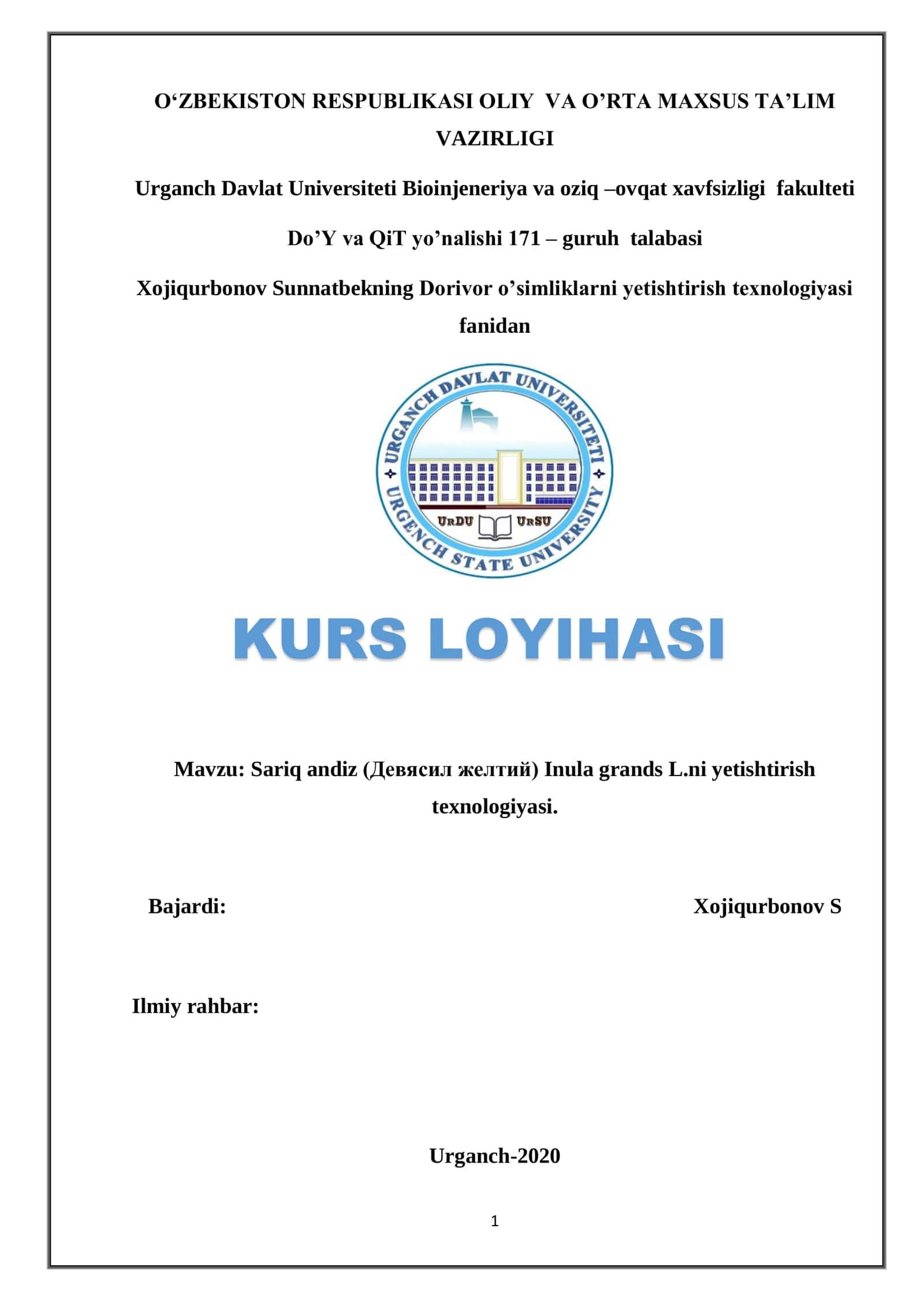 Sariq andiz (Девясил желтий) Inula grands L.ni yetishtirish texnologiyasi 1