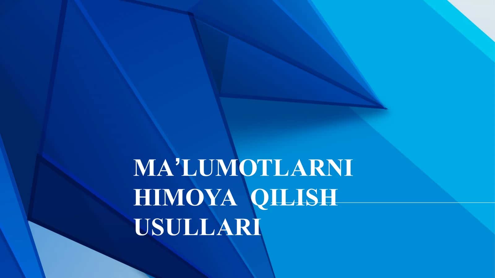 Ma'lumotlarni himoya qilish 1