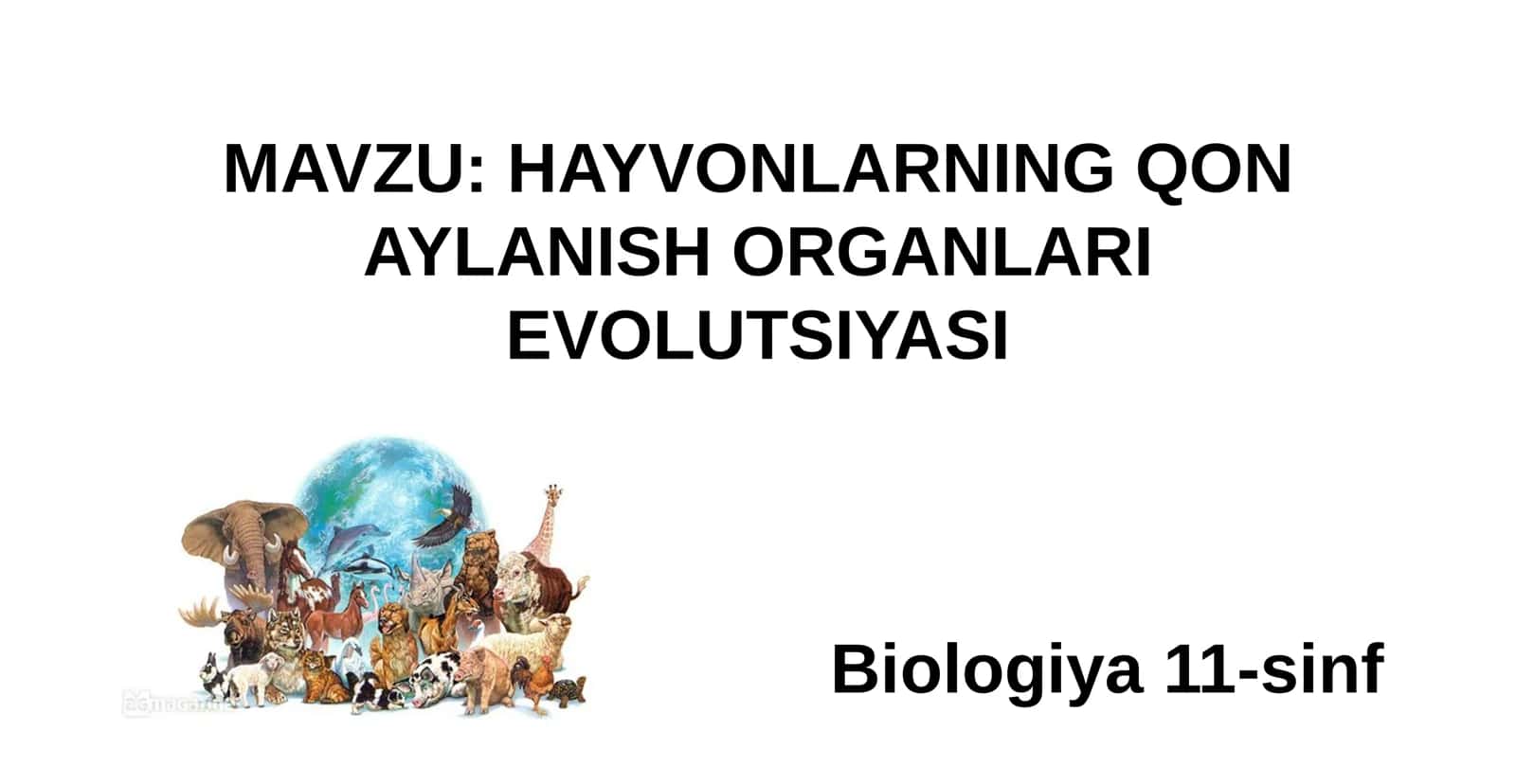 11-Sinf Biologiya: “Hayvonlarning Qon Aylanish Organlari Evolyutsiyasi” Taqdimot 1