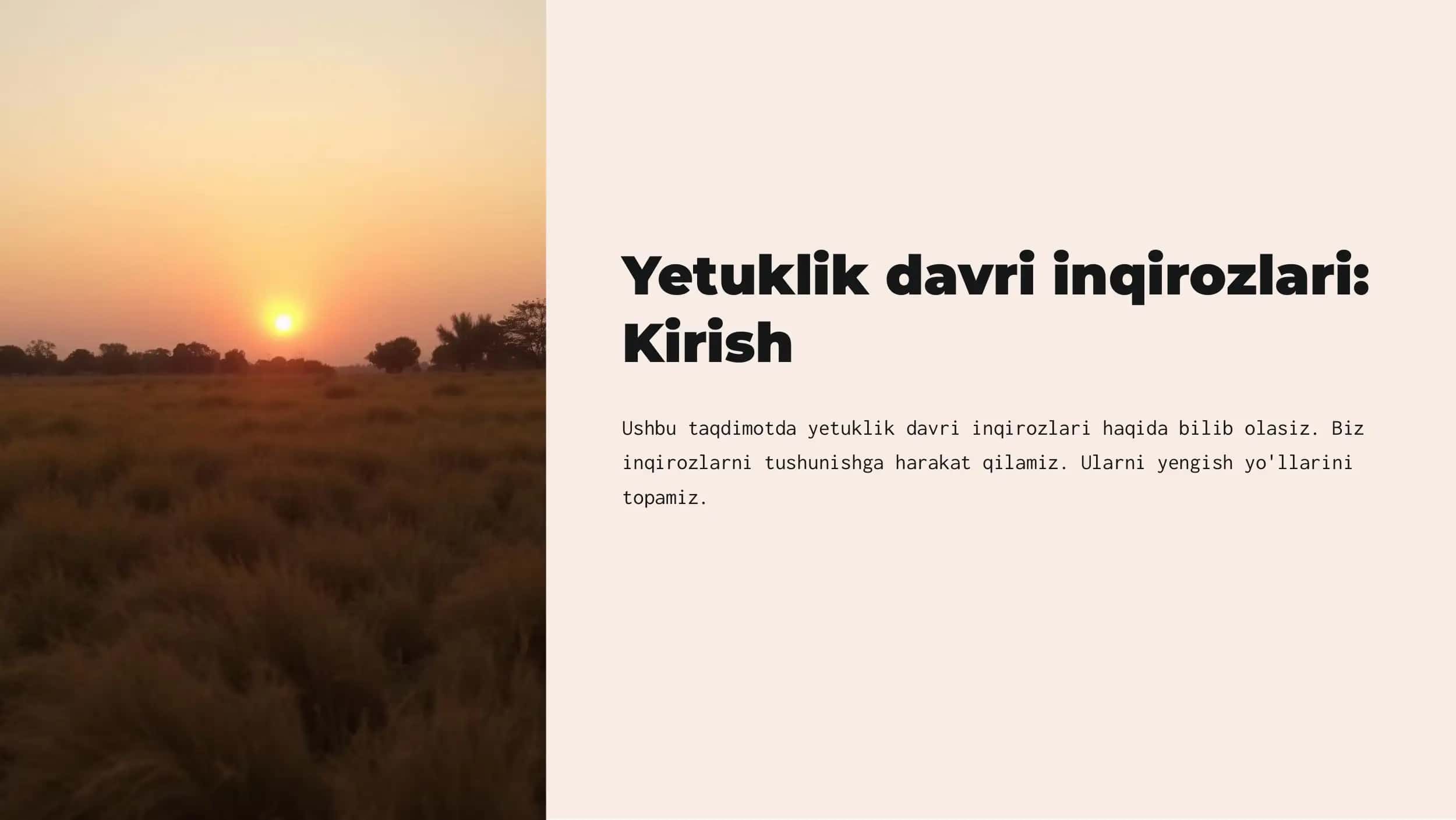 Yetuklik davri inqirozlari 1