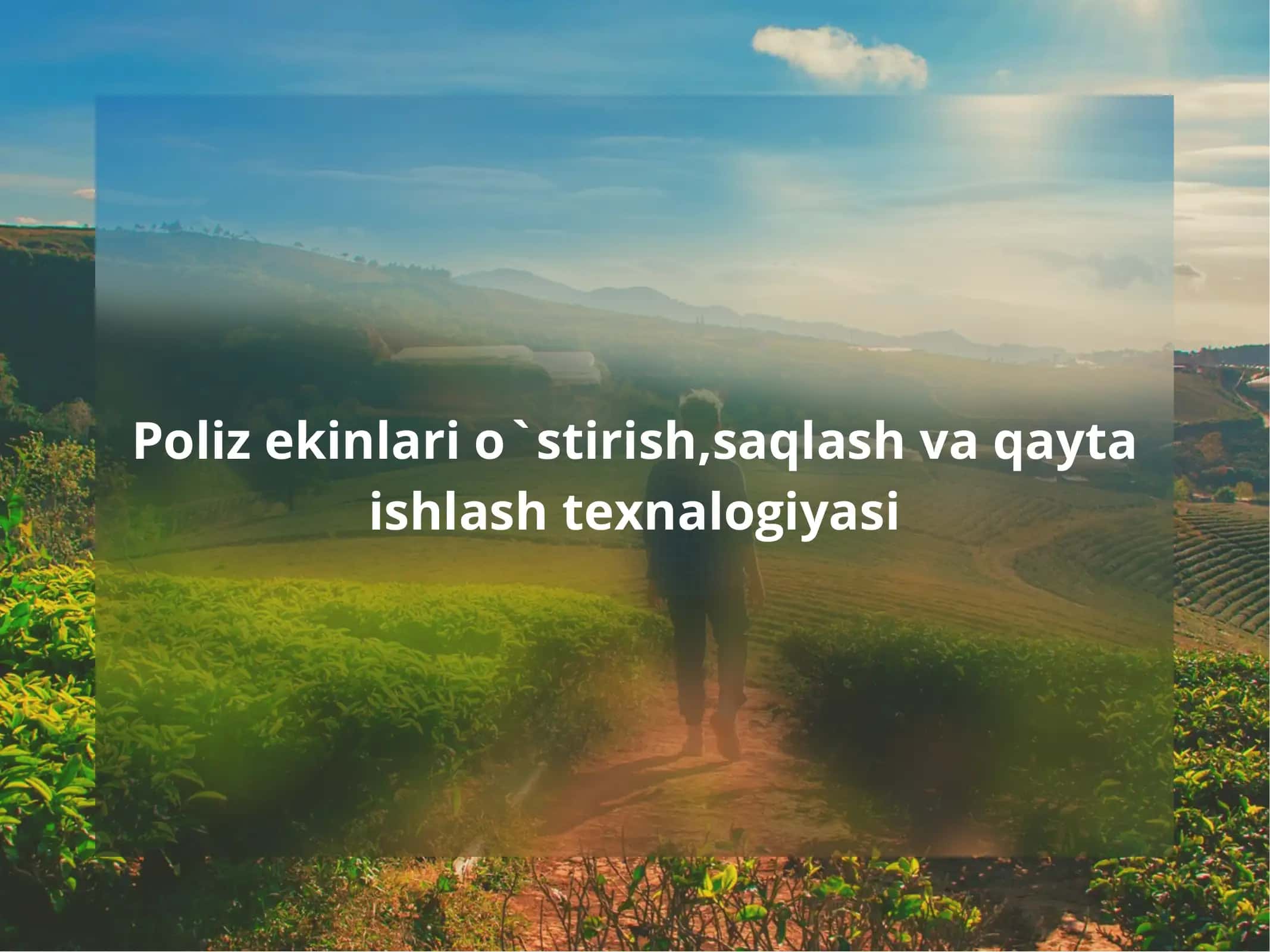 Poliz ekinlari o`stirish, saqlash va qayta ishlash texnalogiyasi 1