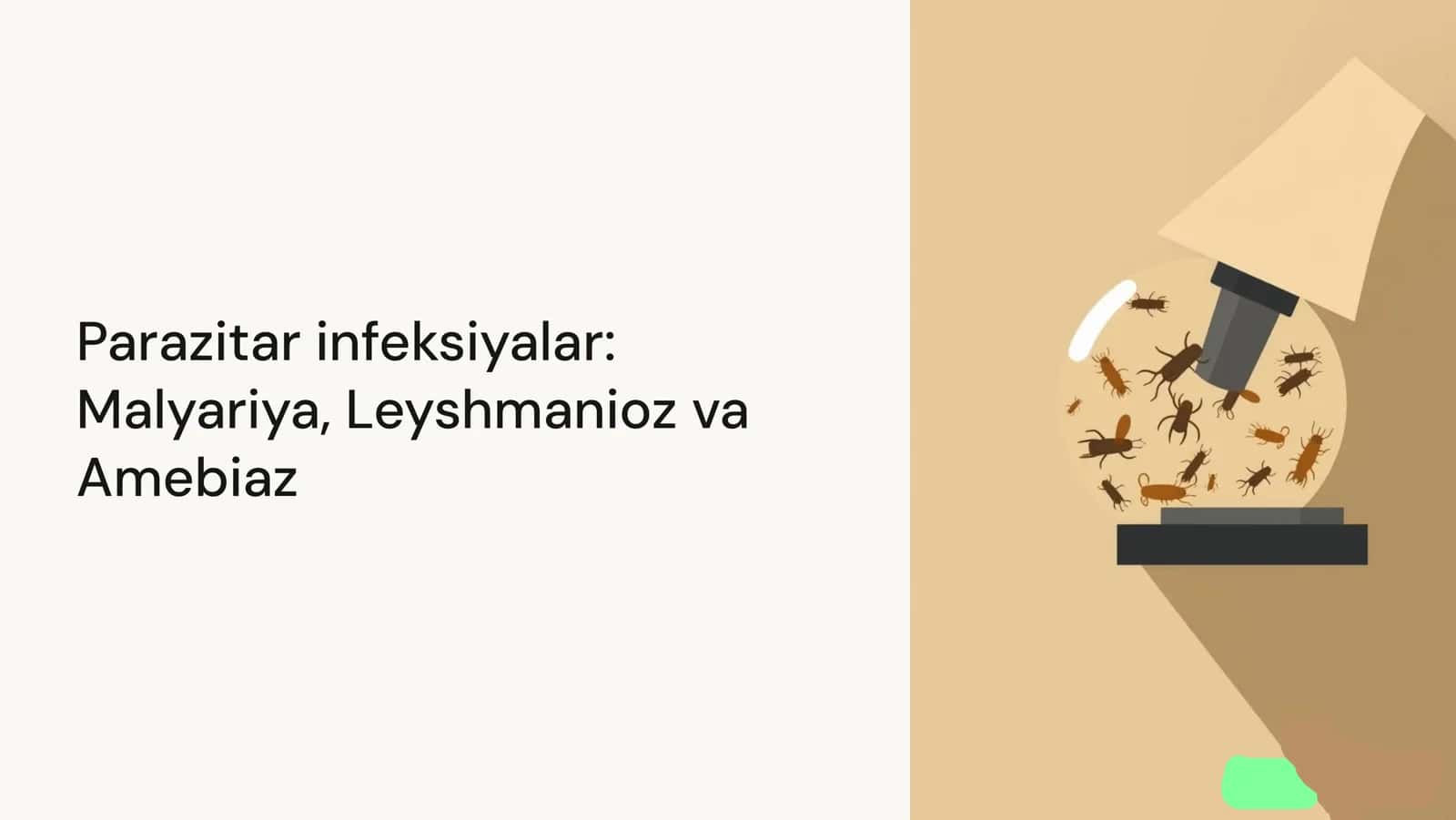 Parazitar infeksiyalar: Malyariya, Leyshmanioz va Amebiaz 1