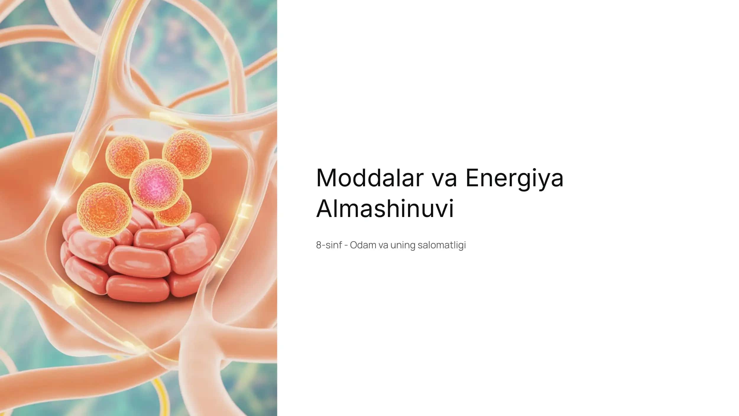 Moddalar va Energiya Almashinuvi 1
