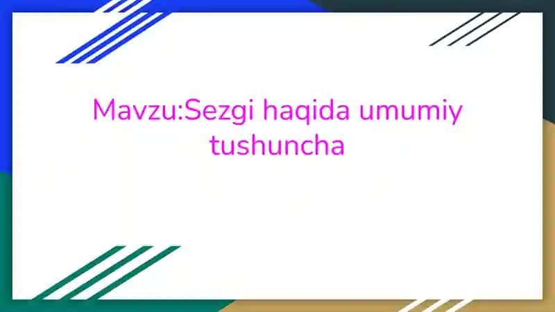 Sezgi haqida umumiy tushuncha