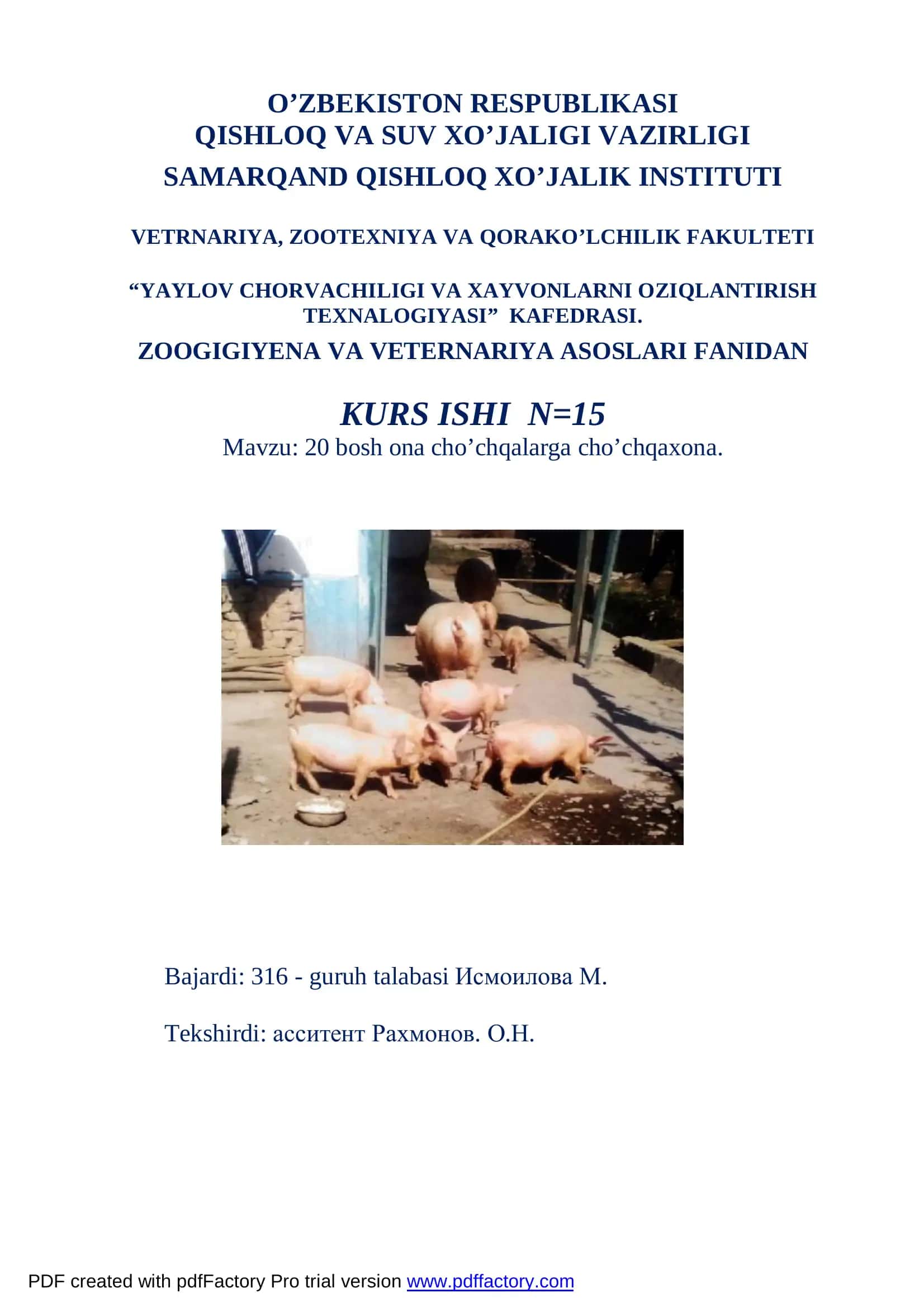 20 bosh ona cho’chqalarga cho’chqaxona 1
