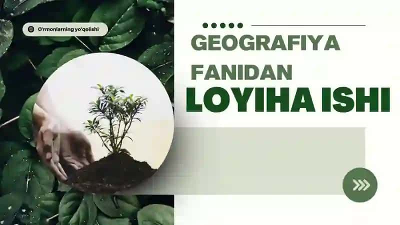 Geografiya fanidan loyiha ishi