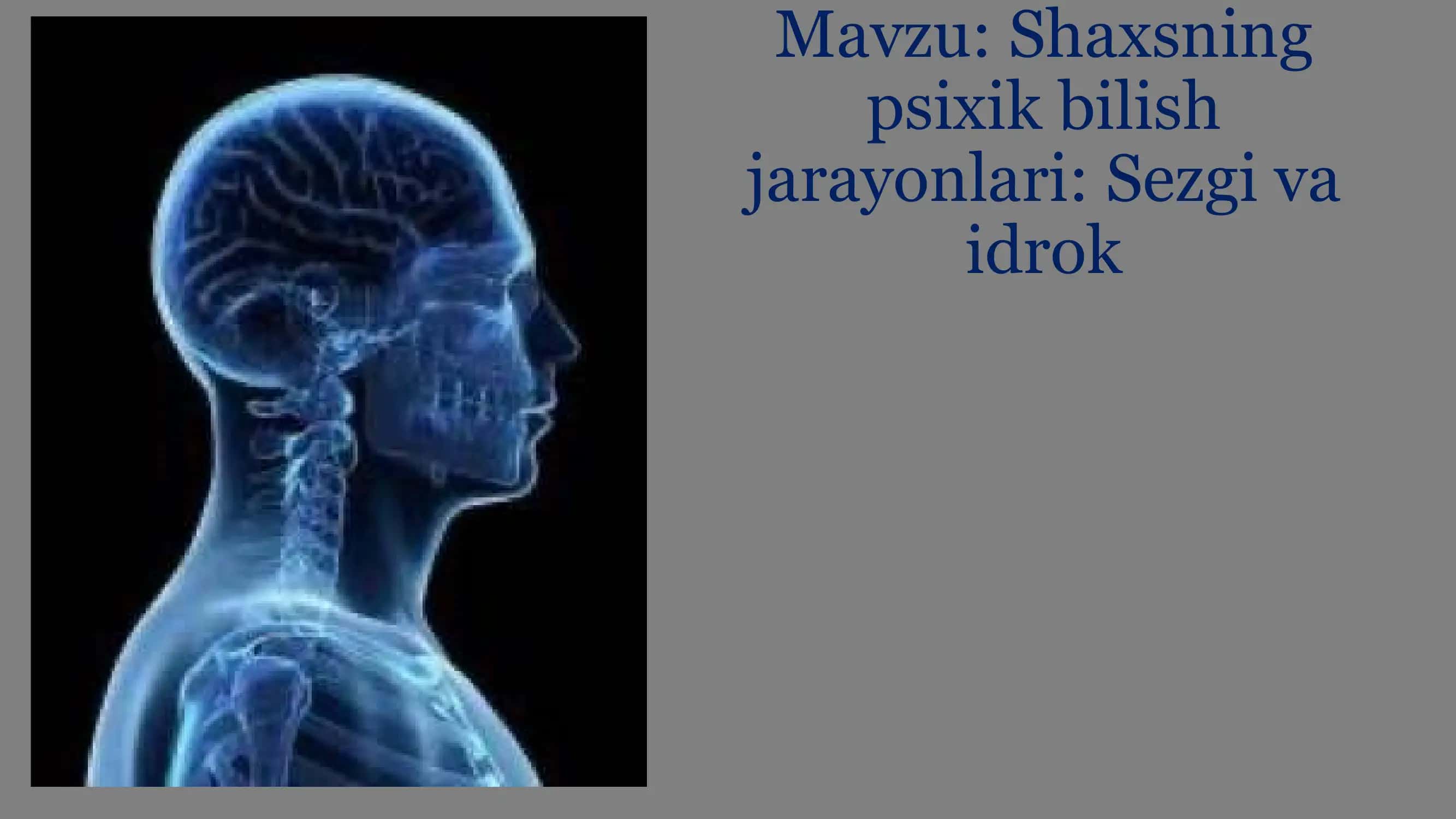 Shaxsning psixik bilish jarayonlari: Sezgi va idrok 1