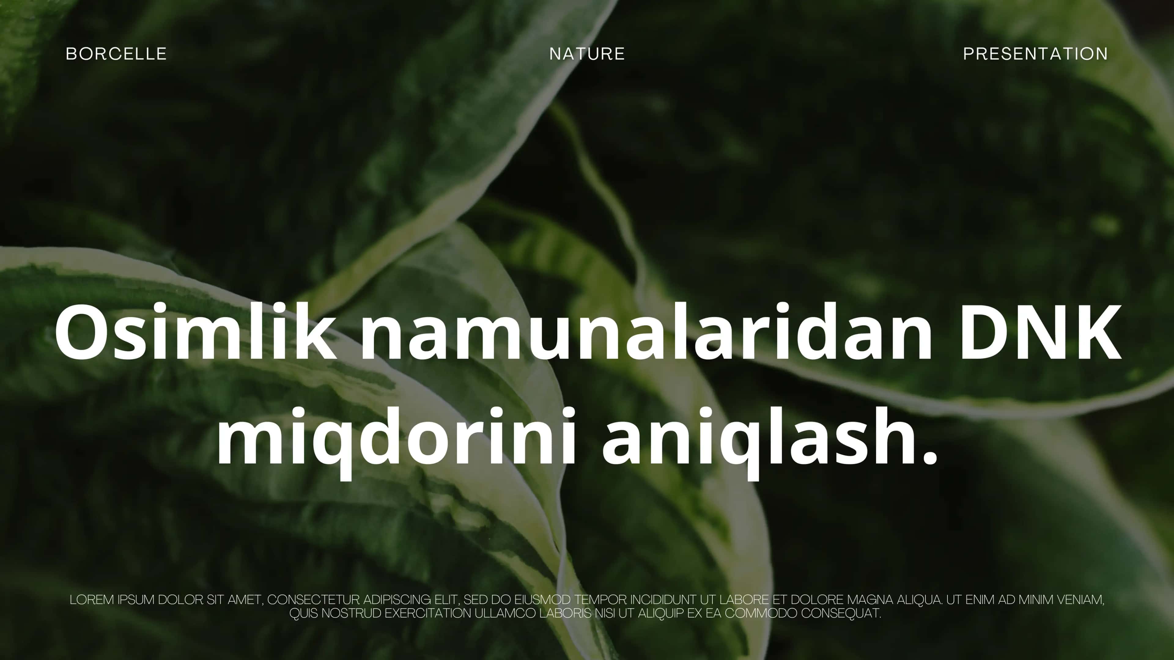 DNK haqida prezintatsiya 1