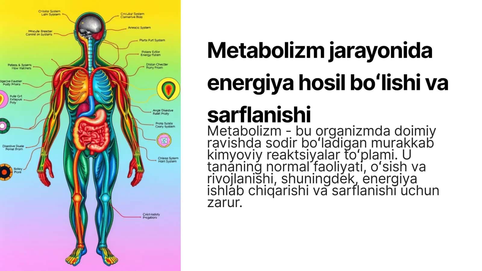 Metabolizm jarayonida energiya hosil bo'lishi va sarflanishi 1