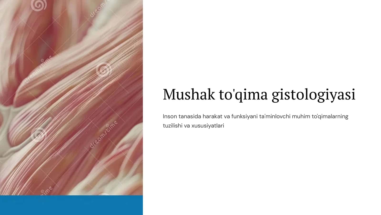 Mushak to'qima 1