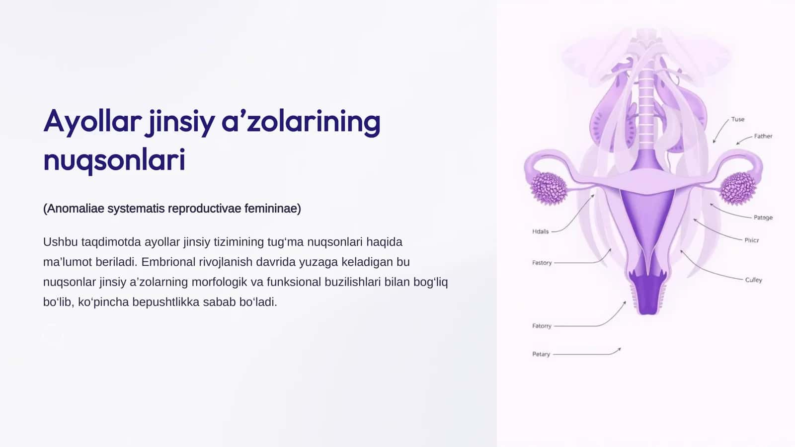 Ayollar jinsiy a’zolarining nuqsonlari 1